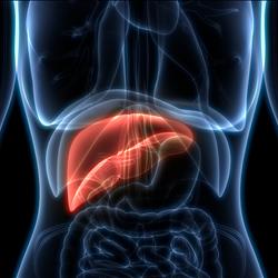 Metabolic-dysfunction Associated Fatty Liver Disease